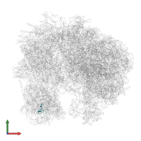 Ubiquitin-like protein 1-ribosomal protein eS31 fusion protein in PDB entry 9bh5, assembly 1, front view.