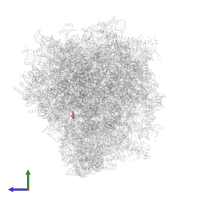 4-{(2R)-2-[(1S,3S,5S)-3,5-dimethyl-2-oxocyclohexyl]-2-hydroxyethyl}piperidine-2,6-dione in PDB entry 9bh5, assembly 1, side view.