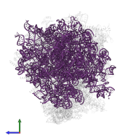 28S ribosomal RNA in PDB entry 9bh5, assembly 1, side view.