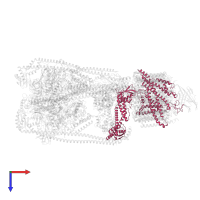 V-type proton ATPase 116 kDa subunit a 1 in PDB entry 9brr, assembly 1, top view.