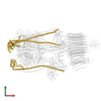 V-type proton ATPase subunit E 1 in PDB entry 9brr, assembly 1, front view.