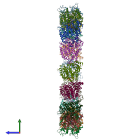 PDB entry 9c6r coloured by chain, side view.