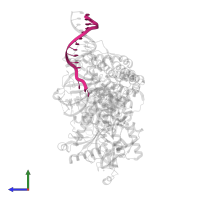 DNA target strand in PDB entry 9cf0, assembly 1, side view.