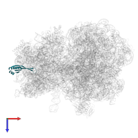 Small ribosomal subunit protein uS10 in PDB entry 9cg7, assembly 1, top view.