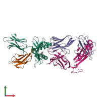 Hetero tetrameric assembly 1 of PDB entry 9cgs coloured by chemically distinct molecules, front view.