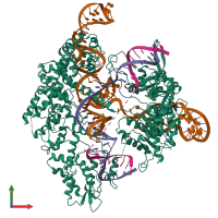 PDB entry 9cgu coloured by chain, front view.