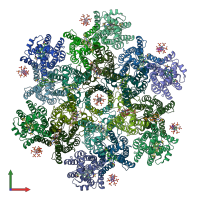 PDB entry 9d6c coloured by chain, front view.