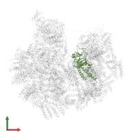 26S proteasome non-ATPase regulatory subunit 14 in PDB entry 9e8l, assembly 1, front view.