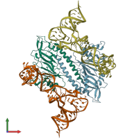 PDB entry 9enf coloured by chain, front view.