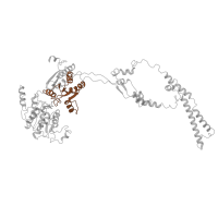 The deposited structure of PDB entry 9fbw contains 1 copy of Pfam domain PF00271 (Helicase conserved C-terminal domain) in Helicase SWR1. Showing 1 copy in chain I [auth M].