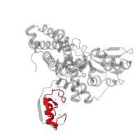 The deposited structure of PDB entry 9fqh contains 1 copy of Pfam domain PF00097 (Zinc finger, C3HC4 type (RING finger)) in E3 ubiquitin-protein ligase CBL-B. Showing 1 copy in chain A.