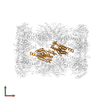 Proteasome subunit beta type-1 in PDB entry 9ft0, assembly 1, front view.