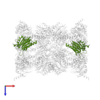 Proteasome subunit alpha type-6 in PDB entry 9ft0, assembly 1, top view.