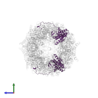 Proteasome subunit beta type-2 in PDB entry 9ft0, assembly 1, side view.