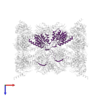 Proteasome subunit beta type-2 in PDB entry 9ft0, assembly 1, top view.