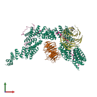 PDB entry 9g8r coloured by chain, front view.