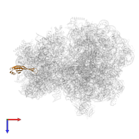 Small ribosomal subunit protein uS10 in PDB entry 9gr1, assembly 1, top view.