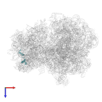 Small ribosomal subunit protein uS14 in PDB entry 9gr1, assembly 1, top view.