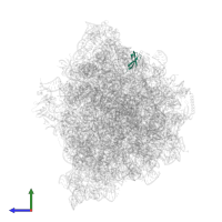 50S ribosomal protein L33 in PDB entry 9gr1, assembly 1, side view.