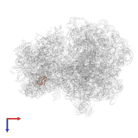 30S ribosomal protein S16 in PDB entry 9gr1, assembly 1, top view.