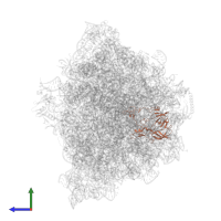 50S ribosomal protein L2 in PDB entry 9gr1, assembly 1, side view.