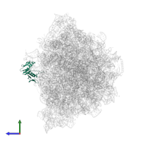 50S ribosomal protein L6 in PDB entry 9gr1, assembly 1, side view.