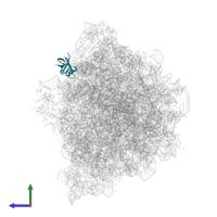 50S ribosomal protein L25 in PDB entry 9gr1, assembly 1, side view.