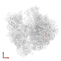 50S ribosomal protein L32 in PDB entry 9gr1, assembly 1, front view.