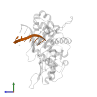 DNA (5'-D(*CP*AP*GP*AP*TP*G)-3') in PDB entry 9icx, assembly 1, side view.