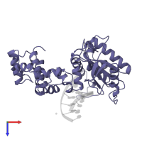 DNA polymerase beta in PDB entry 9icx, assembly 1, top view.