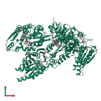 Homo tetrameric assembly 1 of PDB entry 9isl coloured by chemically distinct molecules, front view.