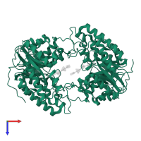 endo-1.3-fucanase in PDB entry 9jog, assembly 1, top view.