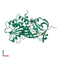 PDB entry 9pai coloured by chain, front view.