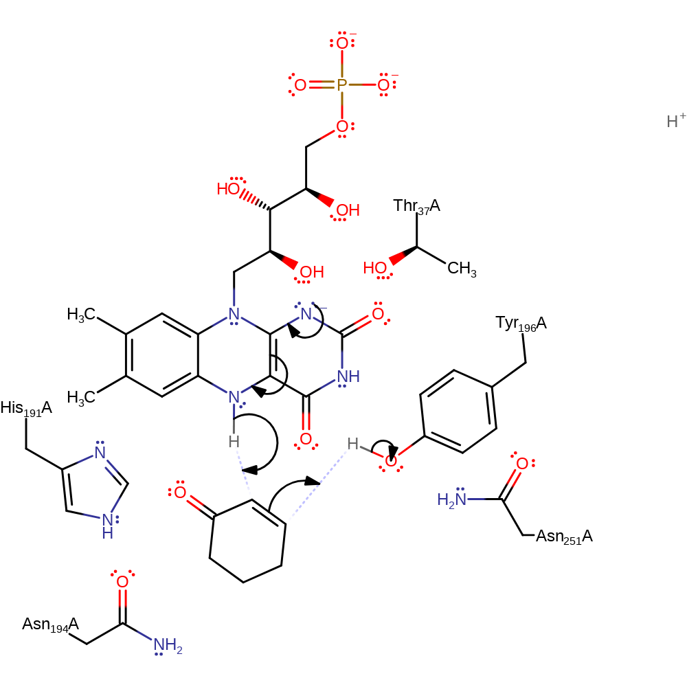 nadph mechanism