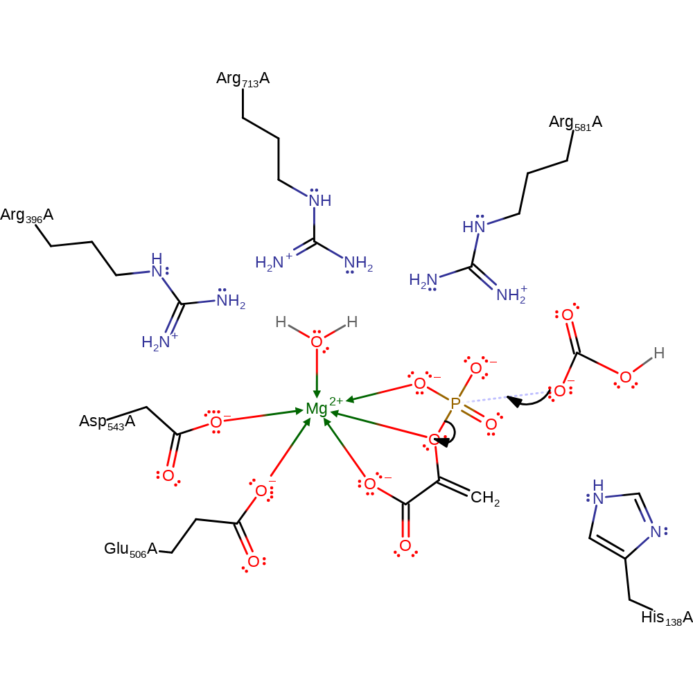 phosphoenolpyruvate structure