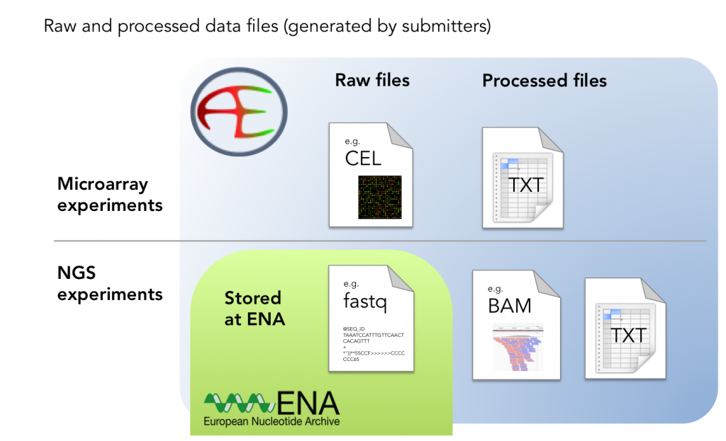 Raw and processed data files | ArrayExpress