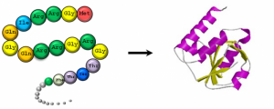 Protein classification | Protein classification